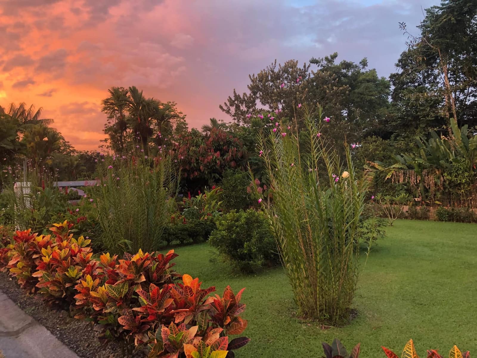 Hotel Villas Vilma gallery image 26