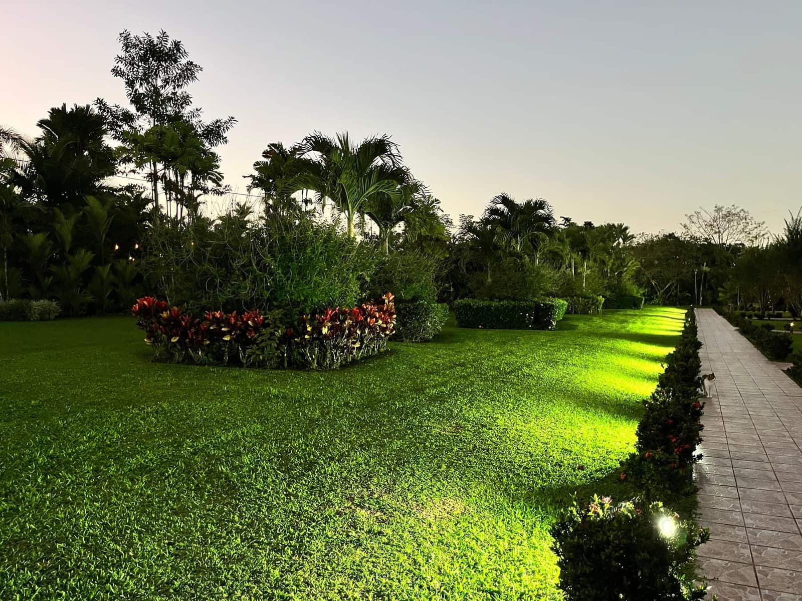 Hotel Villas Vilma gallery image 28